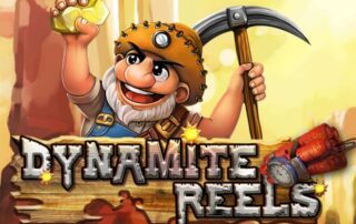 Dynamite Reels Banner