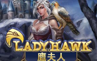 Lady Hawk Banner