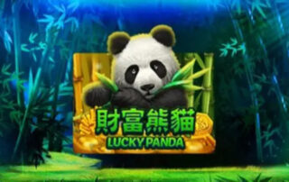 Lucky Panda Banner